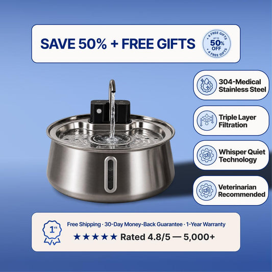 Origins™ Filtered Pet Fountain 4L