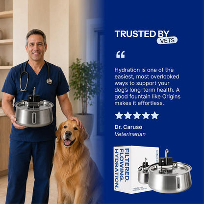 Origins™ Filtered Pet Fountain